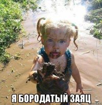  я бородатый заяц