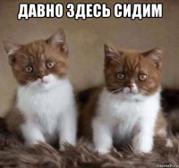 давно здесь сидим 