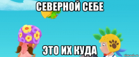 северной себе это их куда