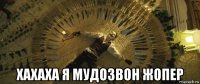  хахаха я мудозвон жопер