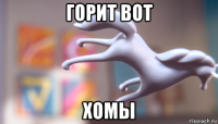 горит вот хомы