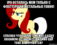 ура осталась мем только с флаттершай! остальные говно! спасибо что удаляете мемы! а одну любимую оставляете! видимо она тоже вам нравится?