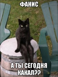 фанис а ты сегодня какал??