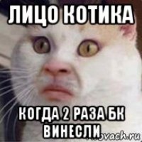 лицо котика когда 2 раза бк винесли