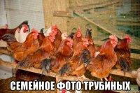  семейное фото трубиных
