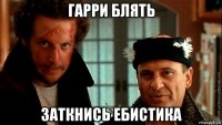 гарри блять заткнись ебистика