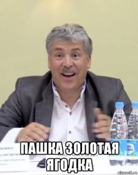  пашка золотая ягодка