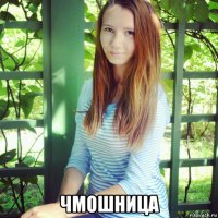 чмошница