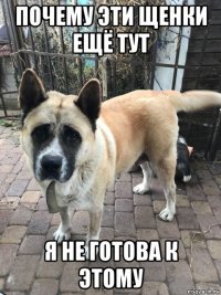 почему эти щенки ещё тут я не готова к этому