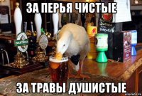 за перья чистые за травы душистые