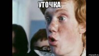 уточка 