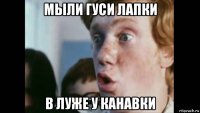 мыли гуси лапки в луже у канавки