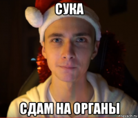 сука сдам на органы