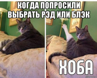 когда попросили выбрать рэд или блэк 