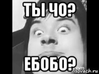 ты чо? ебобо?