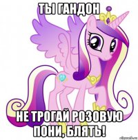 ты гандон не трогай розовую пони, блять!