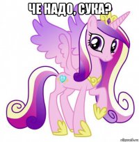 че надо, сука? 