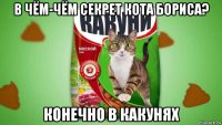в чём-чём секрет кота бориса? конечно в какунях
