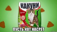  пусть кот насрёт
