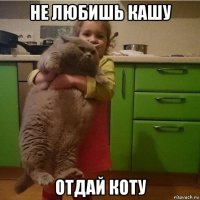 не любишь кашу отдай коту