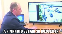  а я милого узнаю за походкой