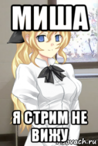 миша я стрим не вижу