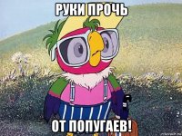 руки прочь от попугаев!