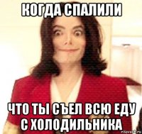 когда спалили что ты съел всю еду с холодильника