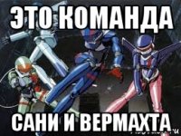 это команда сани и вермахта