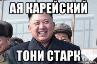 ая карейский тони старк