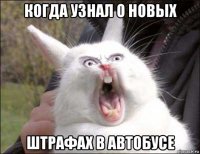 когда узнал о новых штрафах в автобусе