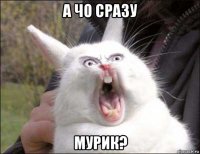 а чо сразу мурик?
