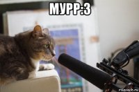 мурр:3 