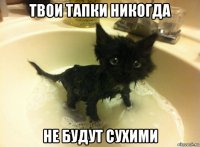твои тапки никогда не будут сухими