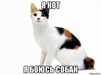 я кот я боюсь собак