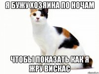 я бужу хозяина по ночам чтобы показать как я жру вискас