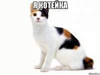 я котейка 