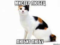 мистер любец любит любу
