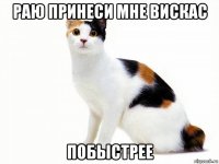 раю принеси мне вискас побыстрее