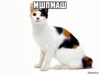 мшпмаш 