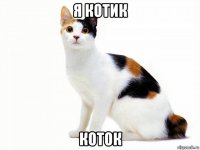 я котик коток