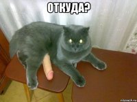 откуда? 