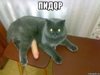 пидqр 