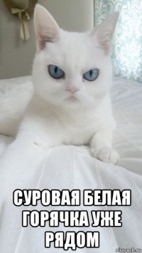  суровая белая горячка уже рядом