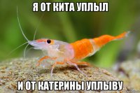 я от кита уплыл и от катерины уплыву