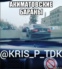 акиматовские бараны 