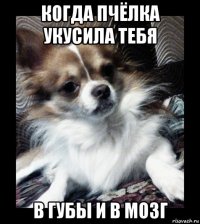 когда пчёлка укусила тебя в губы и в мозг