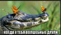  когда у тебя волшебные друли