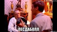  песдаболл