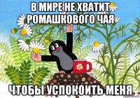 в мире не хватит ромашкового чая чтобы успокоить меня